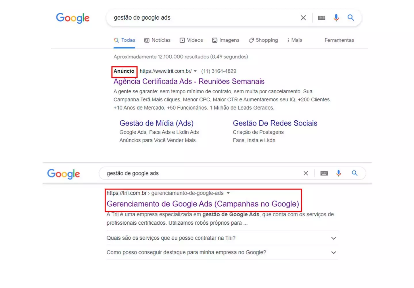 resultados pagos e orgânicos